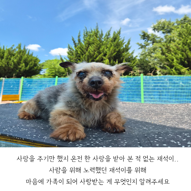 6e664dd46229f8857e2d3ea1025299af_1755061190_0758.png